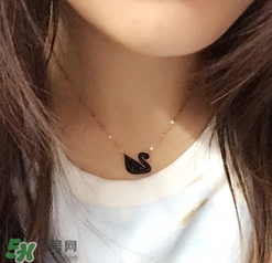 施華洛世奇黑天鵝是什么材質(zhì)？施華洛世奇黑天鵝是水晶嗎？