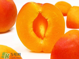 杏子幾月成熟？杏子什么時候成熟？