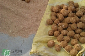 松花蛋是怎么做出來的？松花蛋的家庭腌制方法