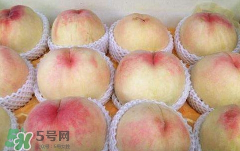 無錫水蜜桃多少錢一斤2017？無錫水蜜桃什么時候上市