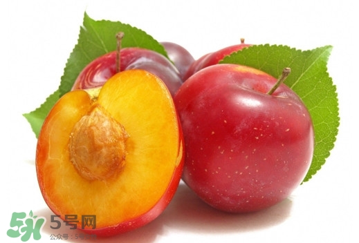 三華李可以放多久？三華李可以冷藏嗎？