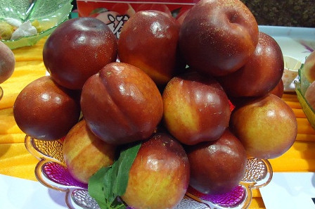 三華李可以用鹽泡嗎？三華李能用鹽水泡嗎