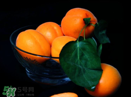 杏子可以和芒果一起吃嗎？吃完杏子可以吃芒果嗎？