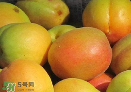杏怎么催熟？杏怎么放熟的快？