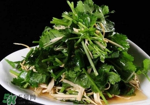 香菜是什么菜？香菜是陽(yáng)痿草嗎？