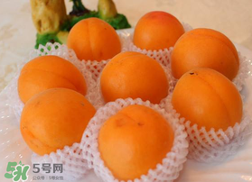 杏子可以放冰箱嗎？杏子可以冷藏嗎？