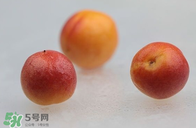 杏子怎么保存？長杏子怎么保存時間長？