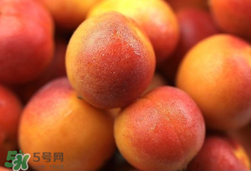 新鮮杏子可以放冰箱嗎？新鮮杏子怎么保存？