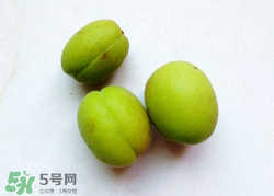青杏怎么催熟？青杏怎么變黃？