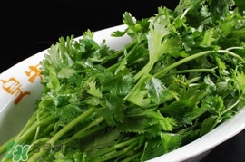 香菜是回奶的嗎？香菜是回奶還是下奶