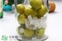 青杏酒怎么做？青杏酒的功效與作用