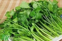香菜是堿性嗎？香菜是堿性還是酸性
