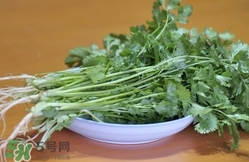 香菜是寒性食物嗎？香菜是熱性還是涼性？