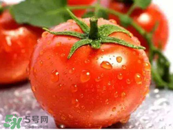 杏和西紅柿能一起吃嗎？杏子能和西紅柿一起吃嗎？