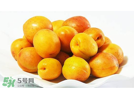 杏和荔枝能一起吃嗎？杏和荔枝一起吃會中毒嗎？