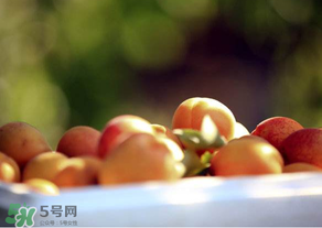 杏子好吃嗎？杏子可以多吃嗎？