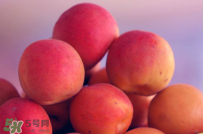 杏子好吃嗎？杏子可以多吃嗎？