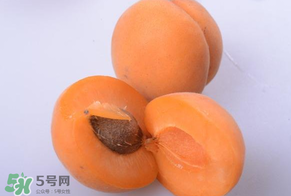杏子好吃嗎？杏子可以多吃嗎？