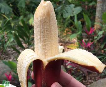 紅香蕉好吃嗎？紅香蕉味道怎么樣？