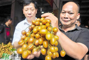黃皮好吃嗎？黃皮是什么味道？