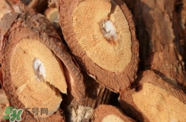 山葡萄根一斤多少錢？山葡萄根功效與作用