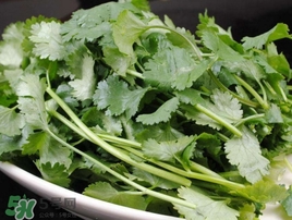 香菜是發(fā)物嗎？香菜是不是發(fā)物