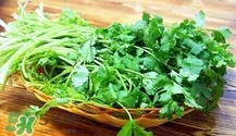 香菜是寒性食物嗎？香菜是熱性還是涼性？