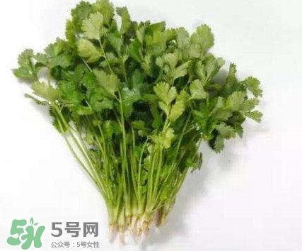 香菜洗腎有科學(xué)依據(jù)么？香菜能洗腎是真的嗎？
