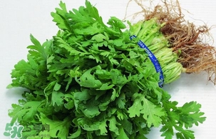 香菜是回奶的嗎？香菜是回奶還是下奶