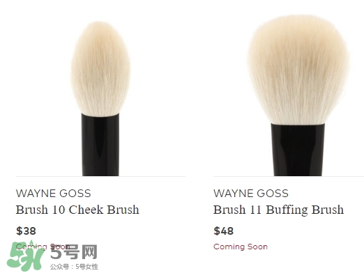 wayne goss是什么牌子？wayne goss化妝刷怎么樣？