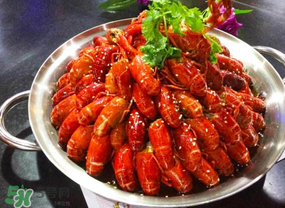 油燜大蝦吃哪些部位？怎么正確吃油燜大蝦？
