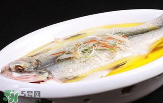 孕婦可以吃白條魚嗎？白條魚孕婦能吃嗎？