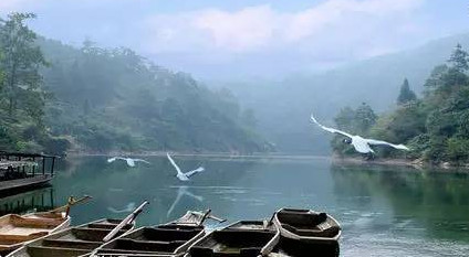 馬口魚能養(yǎng)殖嗎？馬口魚怎么養(yǎng)？