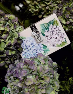 dolce gabanna杜嘉班納2017秋冬繡球花系列怎么樣_好看嗎？