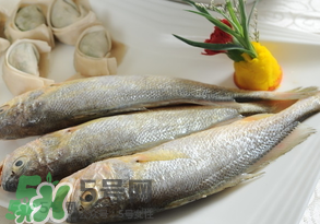 黃魚(yú)多少錢一斤？黃魚(yú)多少錢一斤2017？