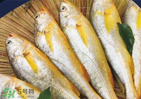 小黃魚(yú)長(zhǎng)大后會(huì)不會(huì)變成大黃魚(yú)？