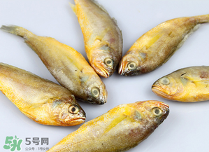 小黃魚(yú)不能和什么一起吃？小黃魚(yú)和什么相克？