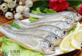 小黃魚多少錢一斤？野生小黃魚多少錢一斤？