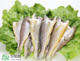 小黃魚可以養(yǎng)殖嗎？小黃魚能人工養(yǎng)殖嗎？
