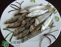 白條魚多少錢一斤2017？野生白條魚多少錢一斤