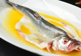 白條魚(yú)能長(zhǎng)多大？白條魚(yú)可以長(zhǎng)多大？