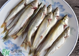 孕婦可以吃白條魚嗎？白條魚孕婦能吃嗎？