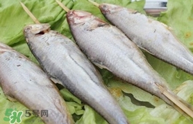 馬口魚(yú)怎么釣？馬口魚(yú)什么時(shí)候釣最好