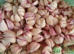 新蒜頭能曬干嗎？新鮮蒜頭曬干要多久