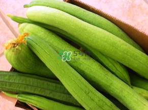 7月份吃什么蔬菜？七月份吃什么蔬菜？