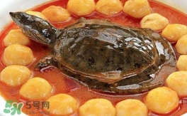 喝甲魚湯有什么好處？甲魚湯的功效與作用