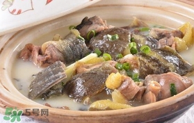 甲魚湯孕婦能喝嗎？甲魚湯孕婦可以喝嗎