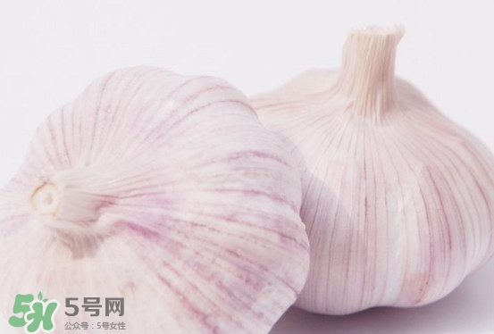 新蒜頭多少錢一斤2017？新蒜頭市場價(jià)格