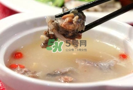 甲魚湯怎么做？甲魚湯的做法
