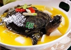 甲魚不能和什么一起吃？甲魚不能跟什么食物一起吃